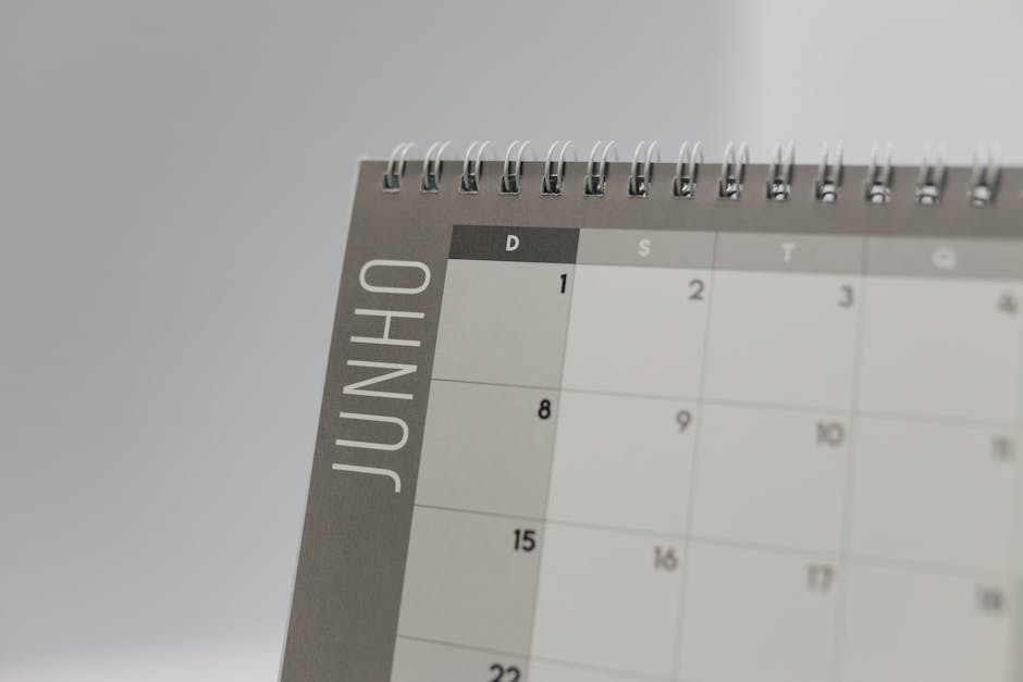 Planner and calendar with notes for international student deadlines by month