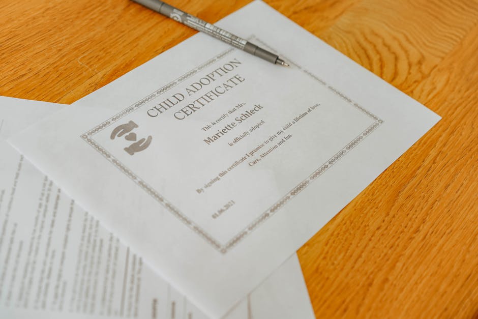 Person reviewing official documents with stamped papers and translation text